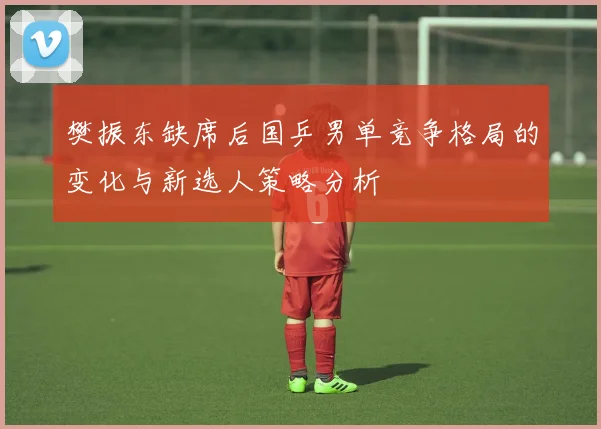 樊振东缺席后国乒男单竞争格局的变化与新选人策略分析